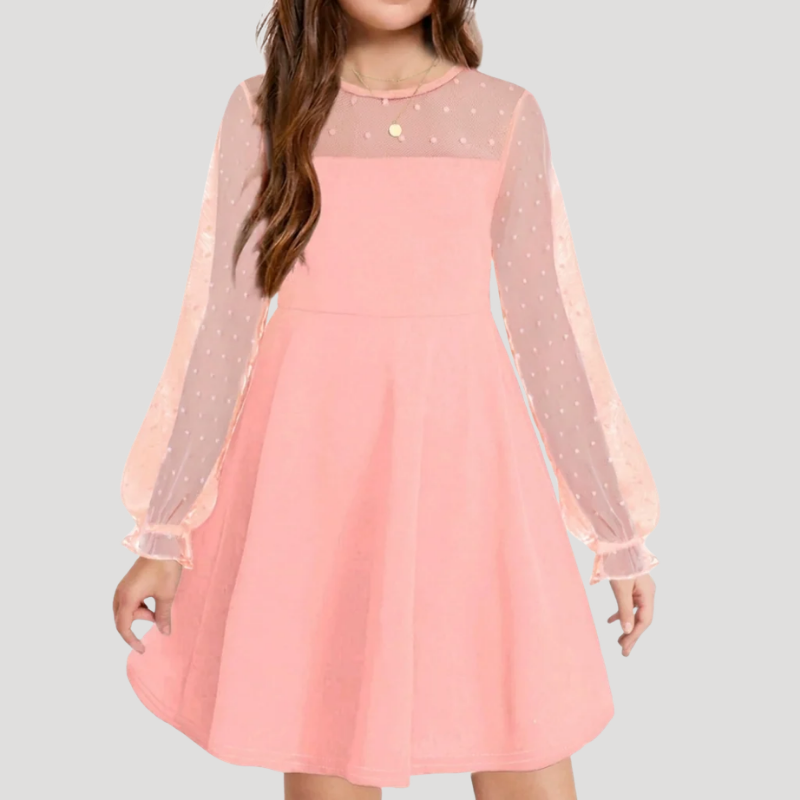Women's A Line Mesh Dress Round Neck Long Sleeve