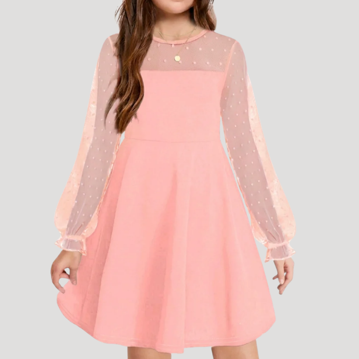 Women's A Line Mesh Dress Round Neck Long Sleeve