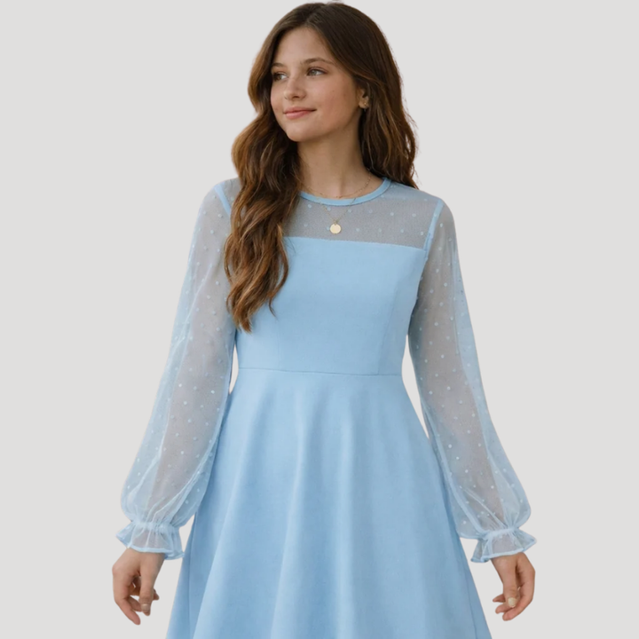 Women's A Line Mesh Dress Round Neck Long Sleeve