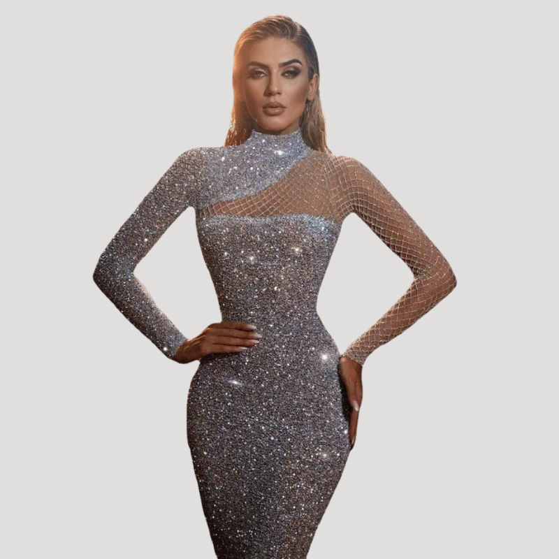 Women's Sequin Maxi Bodycon Mesh High Neck Evening Dress