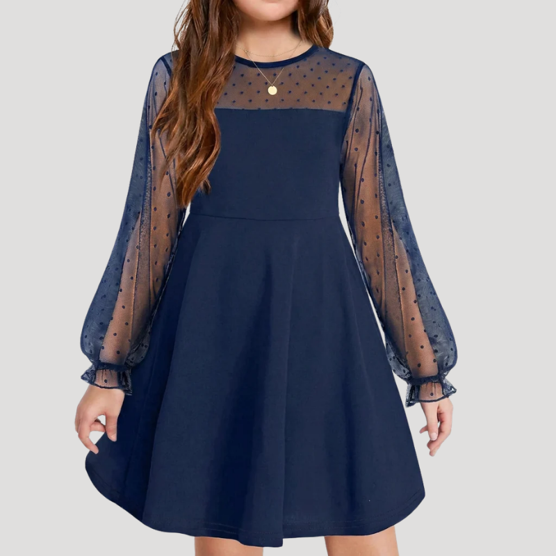 Women's A Line Mesh Dress Round Neck Long Sleeve