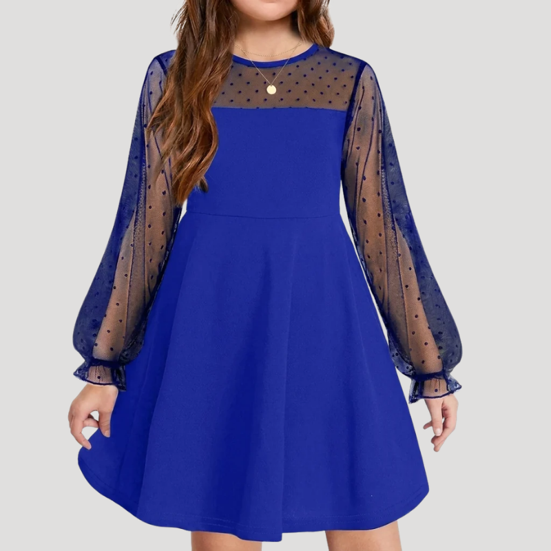 Women's A Line Mesh Dress Round Neck Long Sleeve