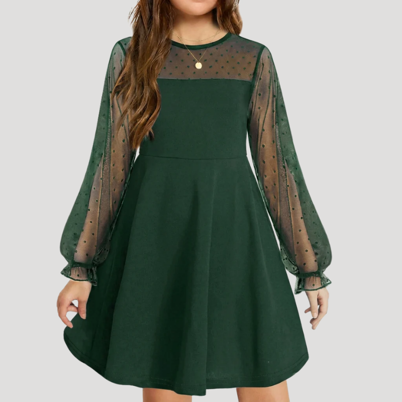 Women's A Line Mesh Dress Round Neck Long Sleeve