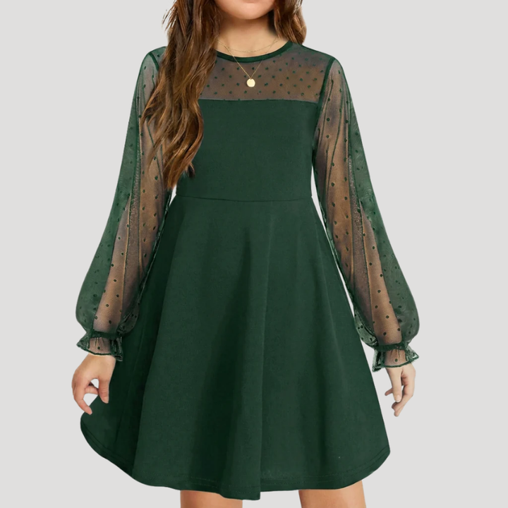 Women's A Line Mesh Dress Round Neck Long Sleeve