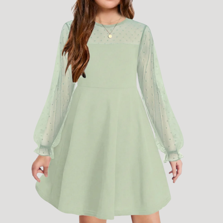 Women's A Line Mesh Dress Round Neck Long Sleeve