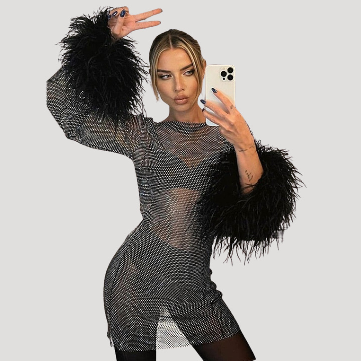 Women's Mini Mesh Dress Bodycon Long Sleeve Feather Party
