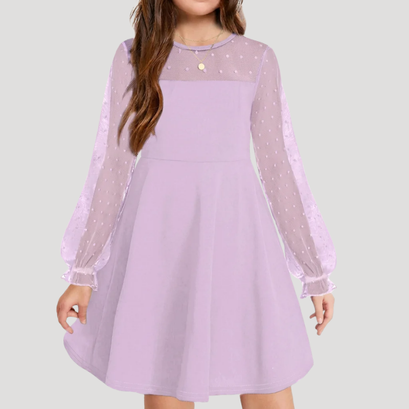 Women's A Line Mesh Dress Round Neck Long Sleeve