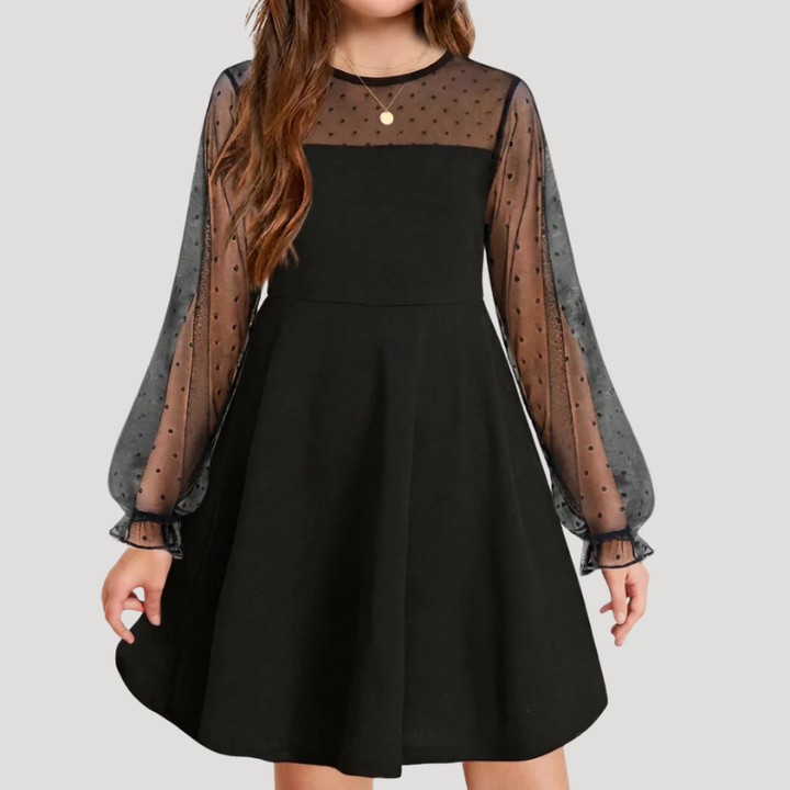 Women's A Line Mesh Dress Round Neck Long Sleeve