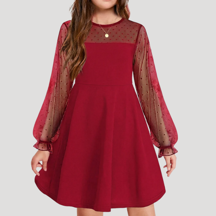 Women's A Line Mesh Dress Round Neck Long Sleeve