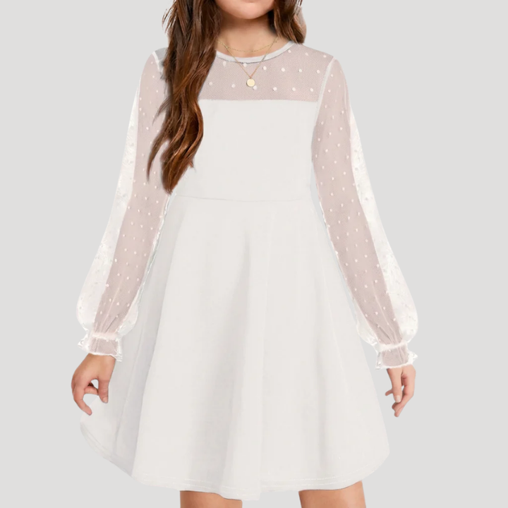 Women's A Line Mesh Dress Round Neck Long Sleeve