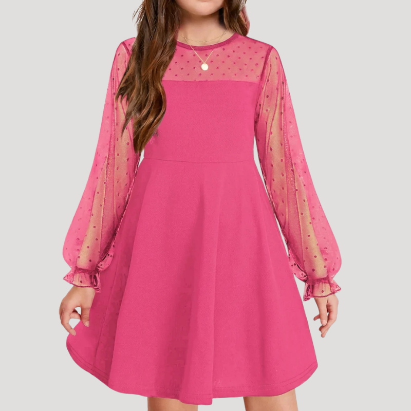 Women's A Line Mesh Dress Round Neck Long Sleeve