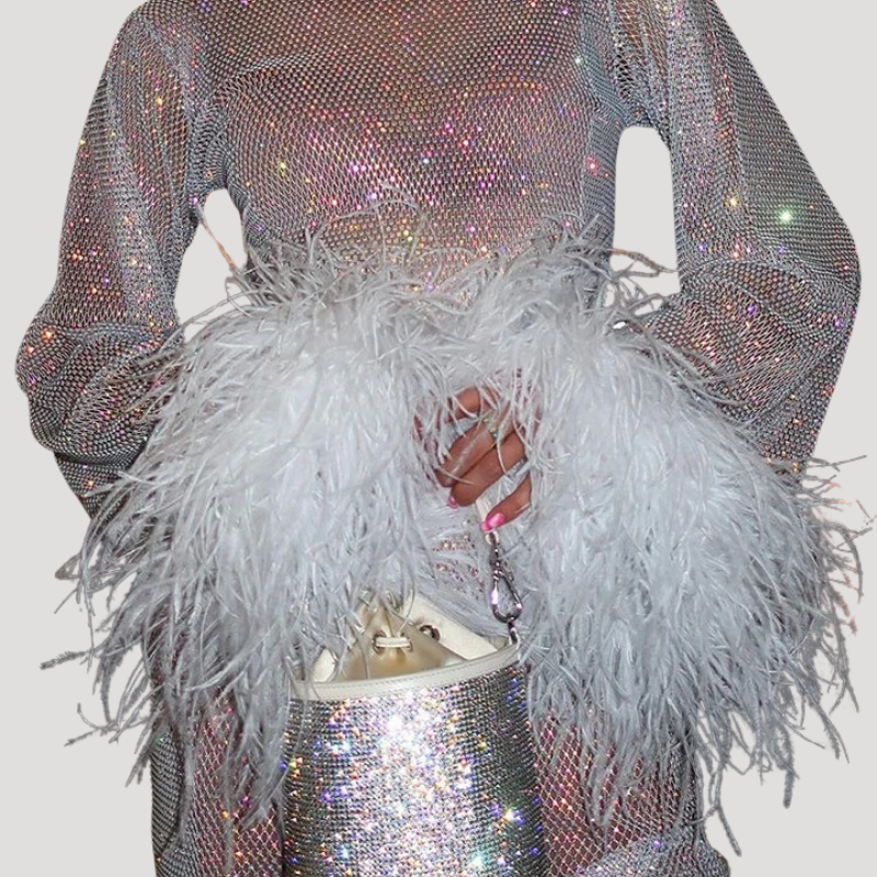 Women's Mini Mesh Dress Bodycon Long Sleeve Feather Party